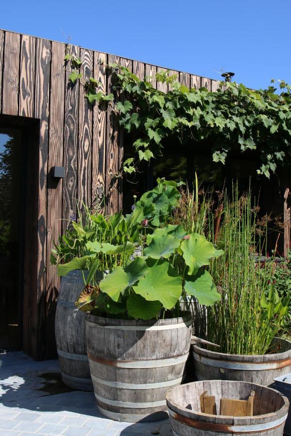 فندق Clos Des Poulies La Ferté-Saint-Aubin المظهر الخارجي الصورة